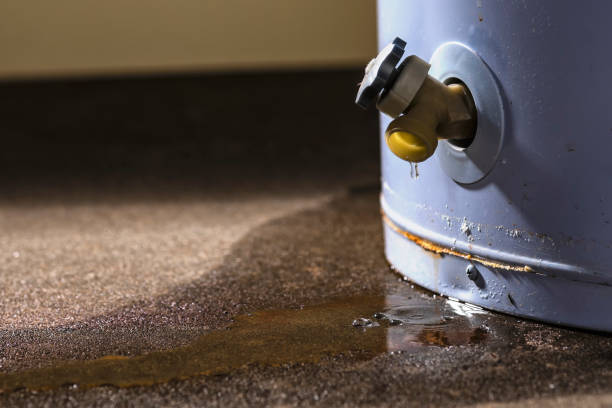 Best Local water damage restoration  in Devine, TX
