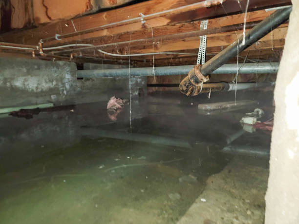 Best Flooded house restoration  in Devine, TX