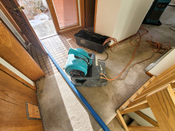 Best Water damage restoration insurance claims  in Devine, TX