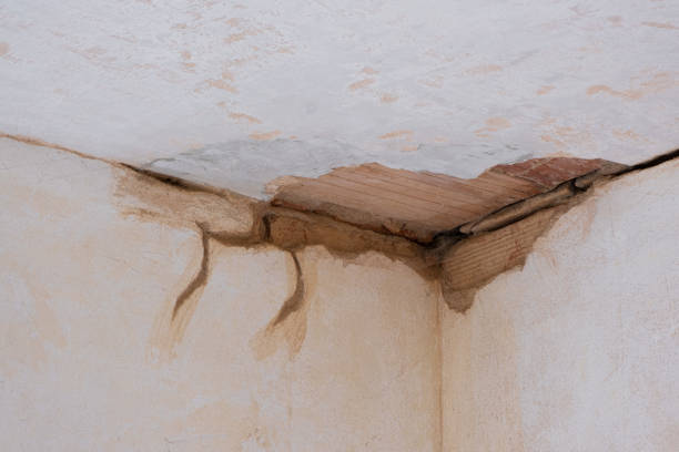 Best Emergency water damage restoration  in Devine, TX