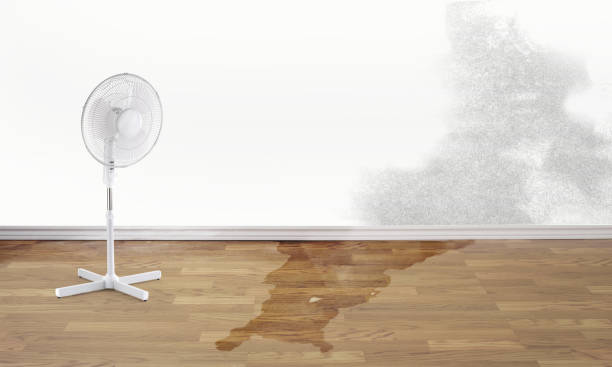 Best Sewage cleanup and water damage restoration  in Devine, TX