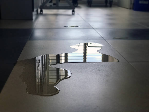 Best Professional water damage repair  in Devine, TX