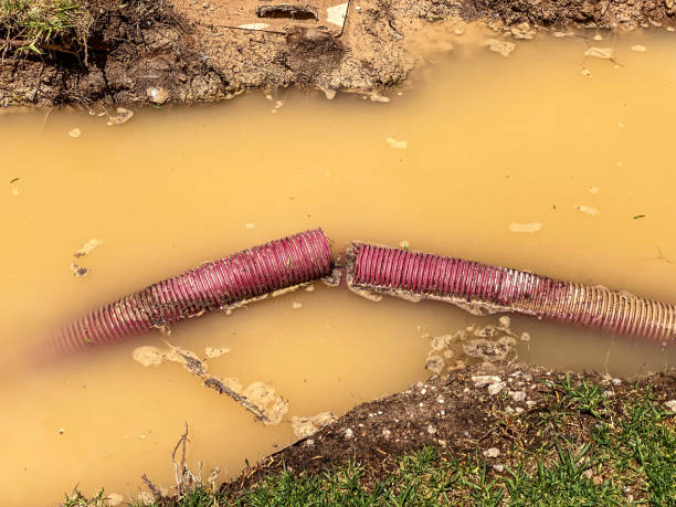 Best Basement water damage restoration  in Devine, TX